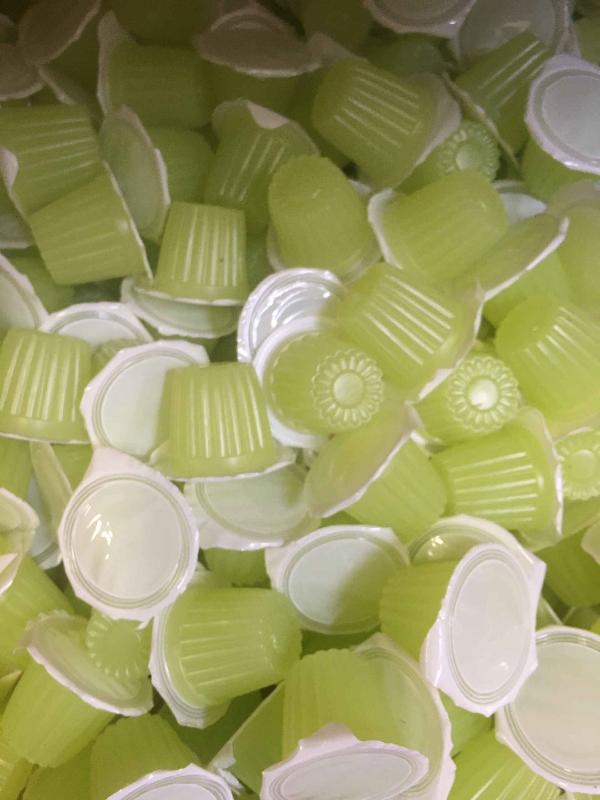 beetle jelly melon 2,0