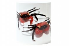 Kaffekop Vampyrkrabbe motiv