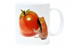 Kaffekop Tomatfrø motiv