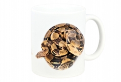 Kaffekop Kongeboa motiv