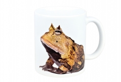 Kaffekop hornfrø motiv