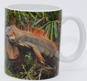Kaffekop Grøn leguan motiv