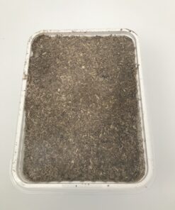 Næringssubstrat til opdræt af billelarver type 2